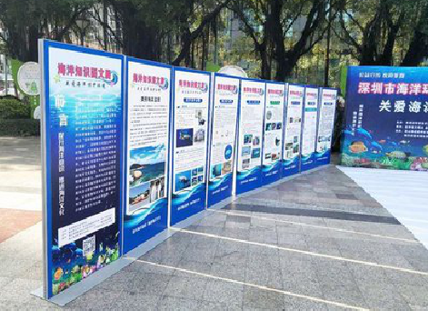 焦作KT板的种类和知识。